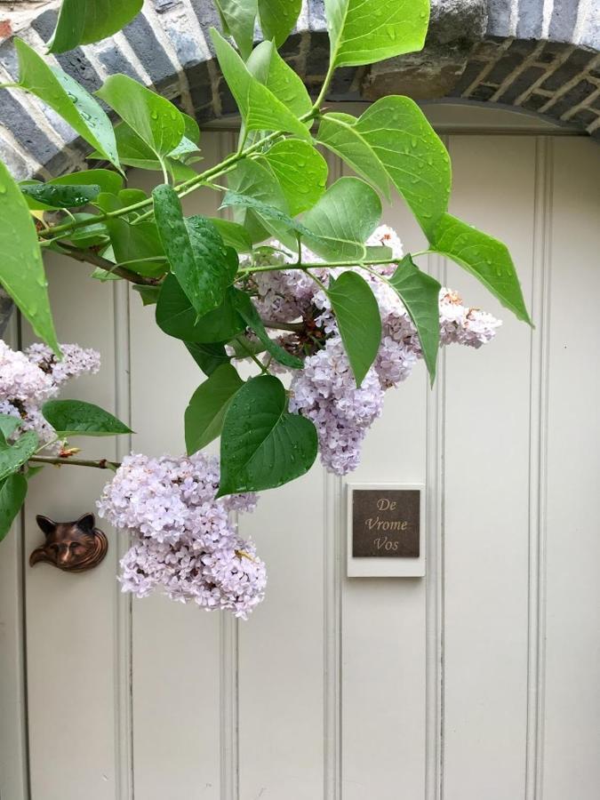 Bed & Breakfast De Vrome Vos *